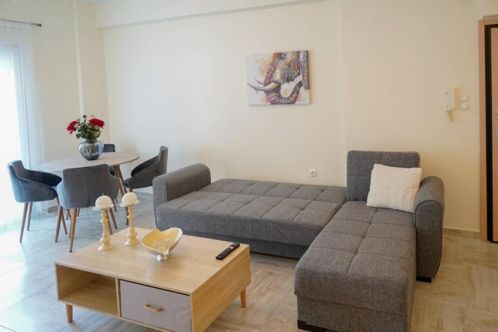 Modern Apartment In The City Center Ioannina Exterior photo